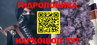 гидра Берёзовский