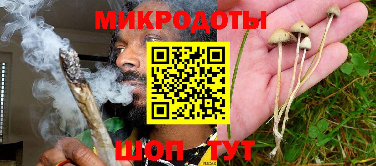 Псилоцибиновые грибы Psilocybe  Галлюциногенные грибы мицелий  Кореновск 